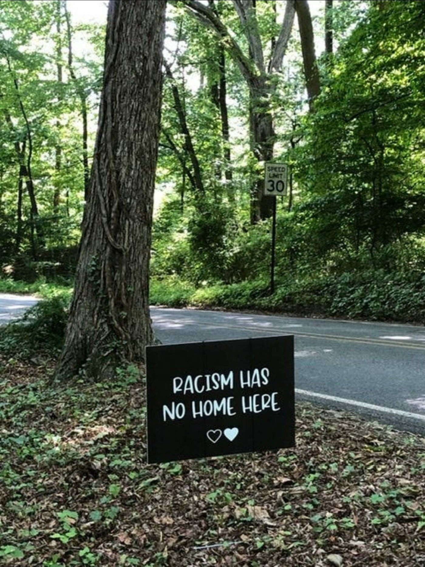Anti-Racism Sign