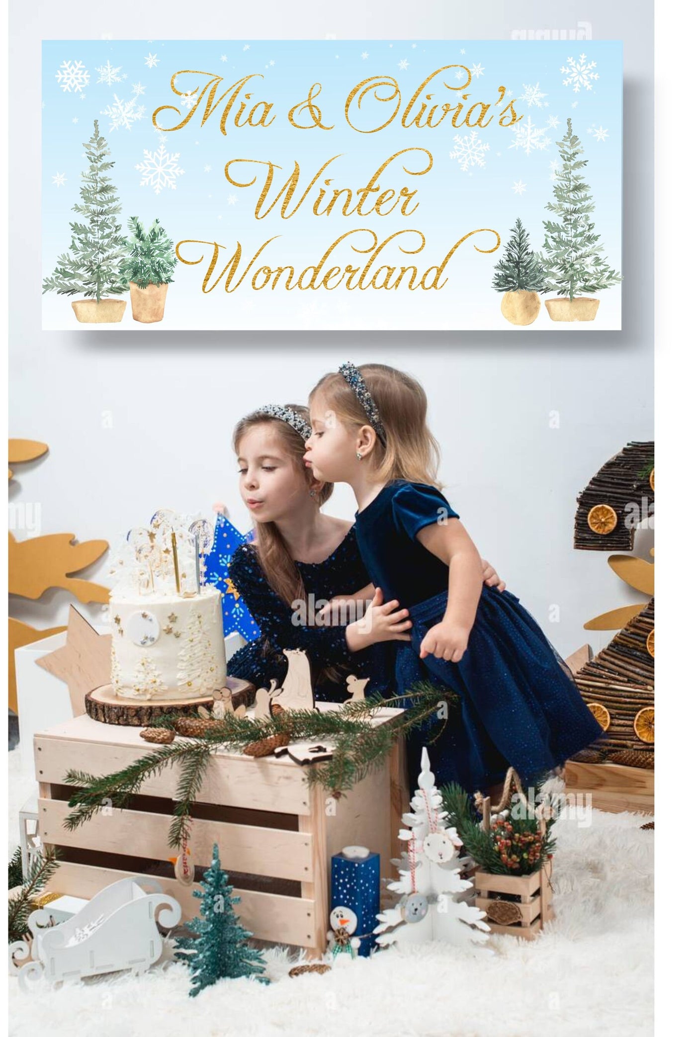 Winter Wonderland Birthday Banner, Winter Birthday Party, Snowflake Birthday Banner, Gold Winter Snowflake banner, Christmas Photo Backdrop