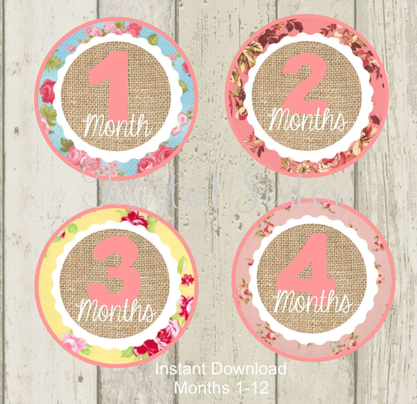 Baby Monthly Onsie Stickers, Baby's First Year, Baby Month Iron On Onsie Stickers, Baby's First Year Birthday Banner, Vintage Baby Month