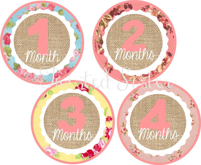 Baby Monthly Onsie Stickers, Baby's First Year, Baby Month Iron On Onsie Stickers, Baby's First Year Birthday Banner, Vintage Baby Month