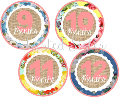 Baby Monthly Onsie Stickers, Baby's First Year, Baby Month Iron On Onsie Stickers, Baby's First Year Birthday Banner, Vintage Baby Month