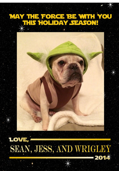 May the Force Be With You Christmas Card